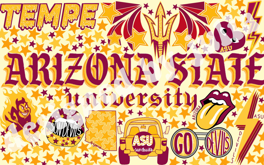 Arizona State University Background