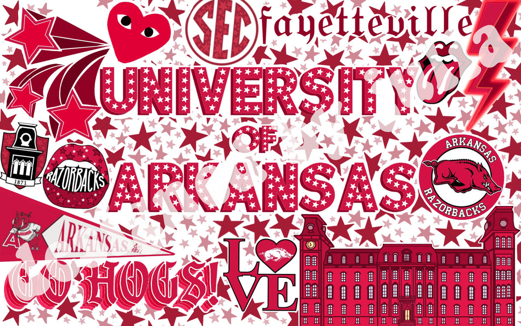 University of Arkansas Background