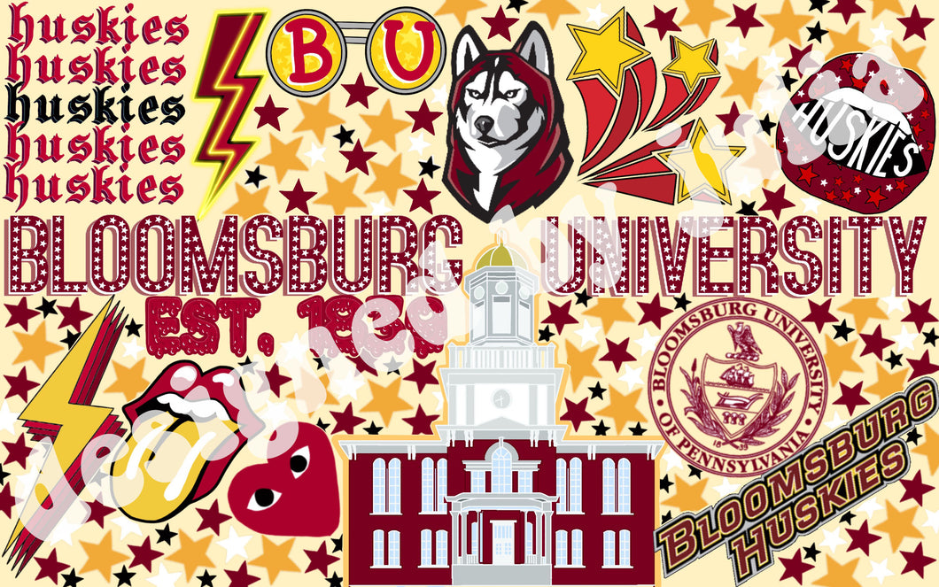 Bloomsburg University Background