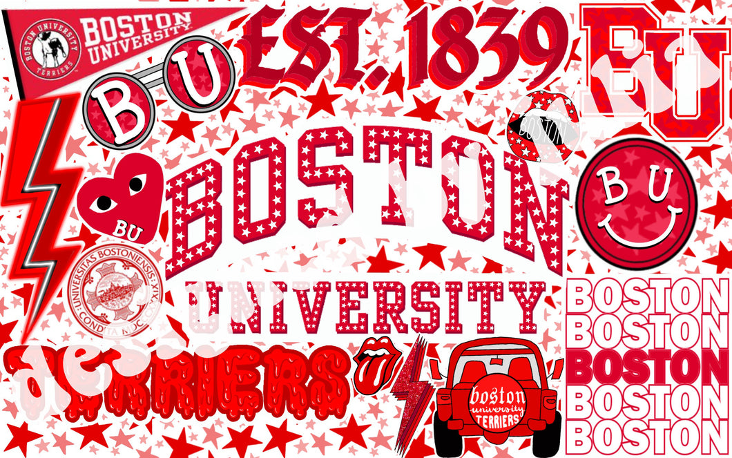 Boston University Background