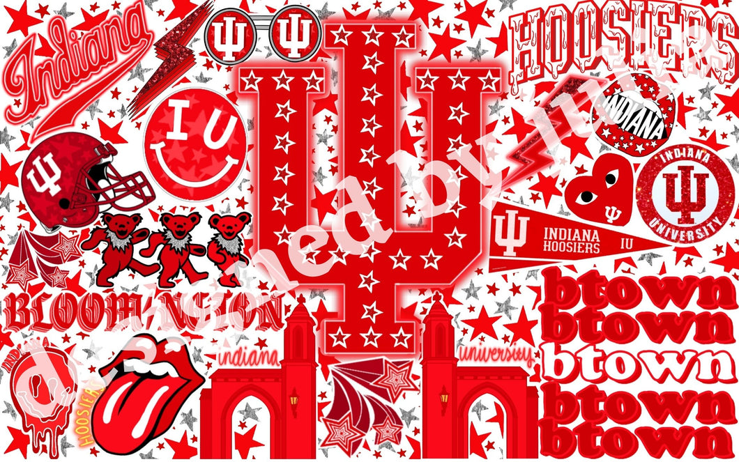 Indiana University Background