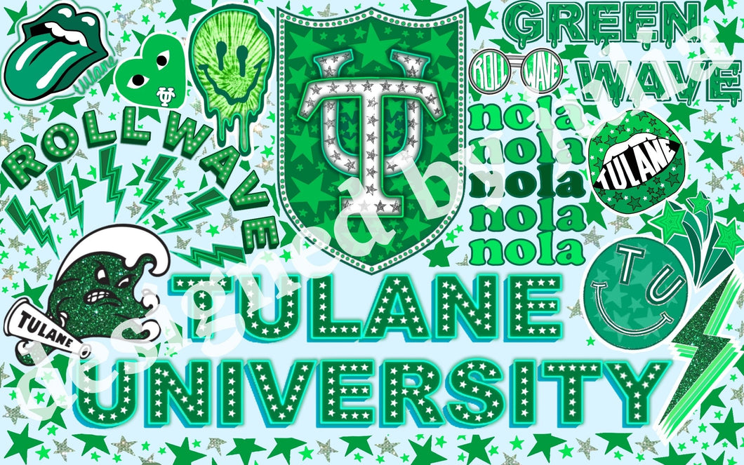 Tulane University Background