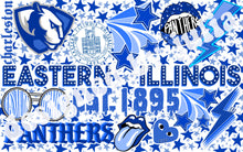 Load image into Gallery viewer, Eastern Illinois University Background
