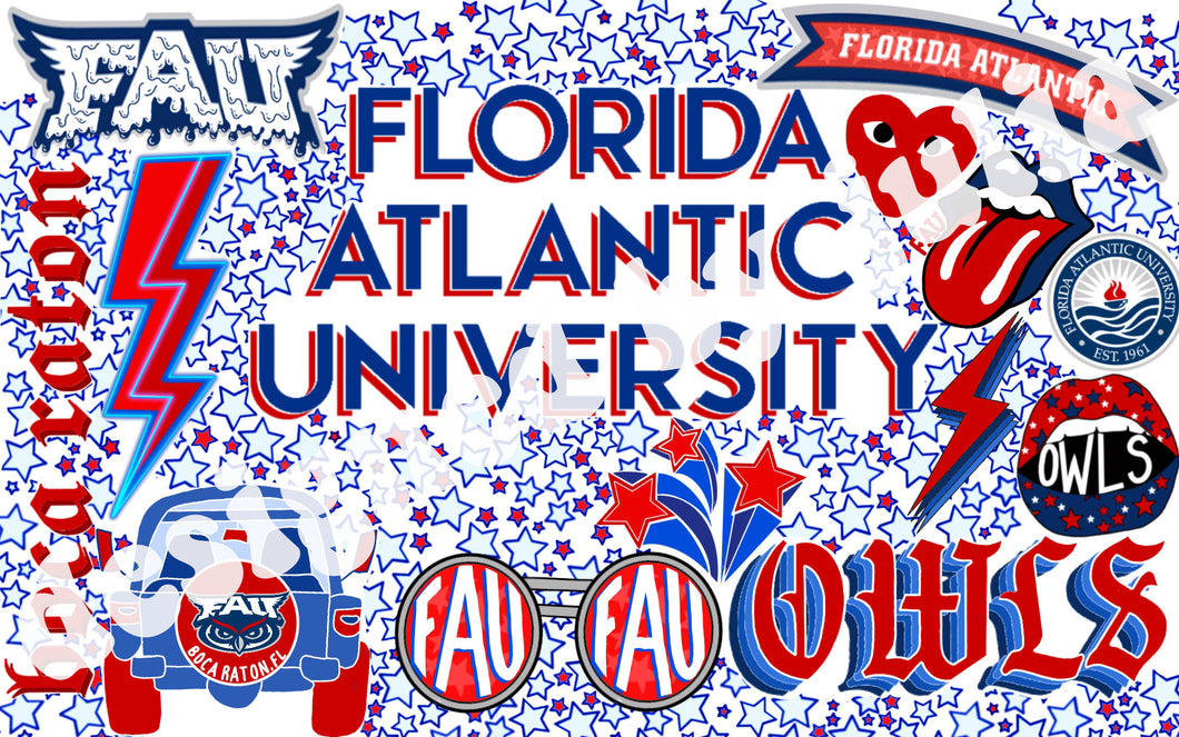 Florida Atlantic University Background