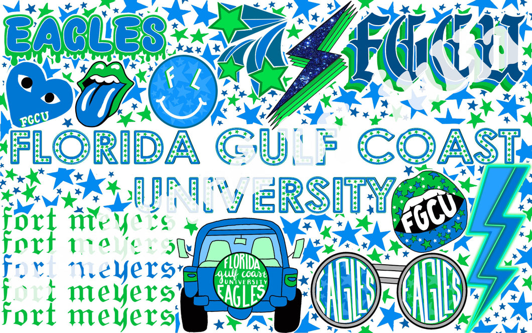 Florida Gulf Coast University Background