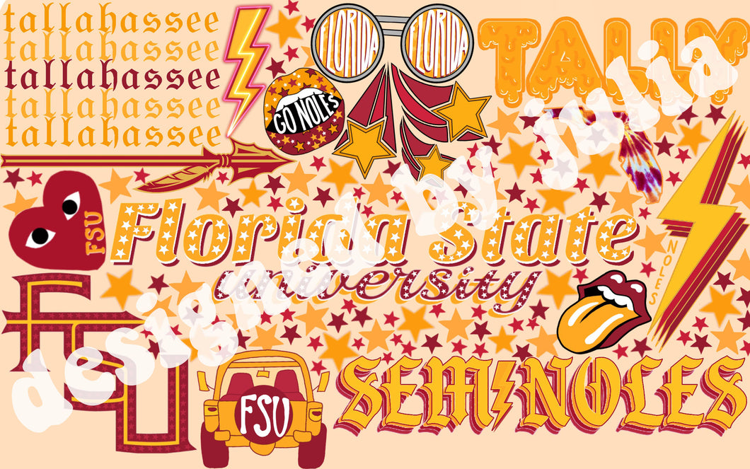 Florida State University Laptop Background