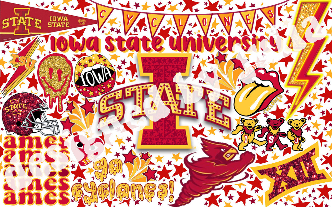 Iowa State University Background