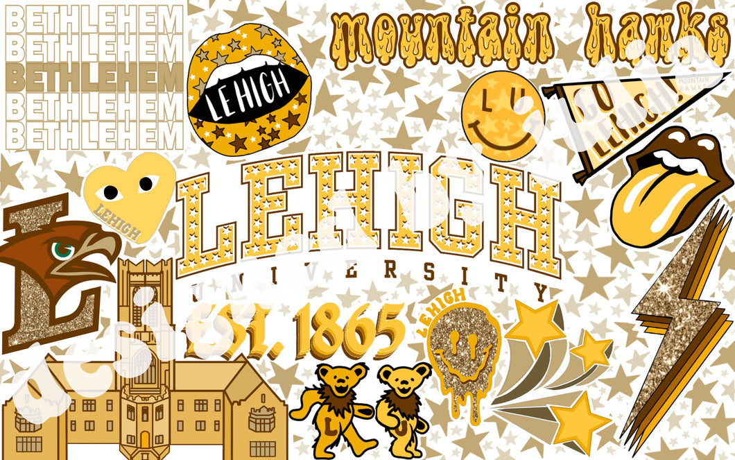 Lehigh University Background