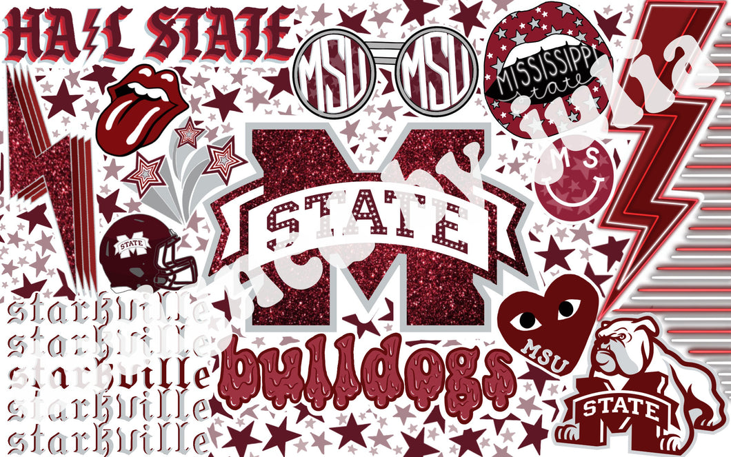 Mississippi State University Background