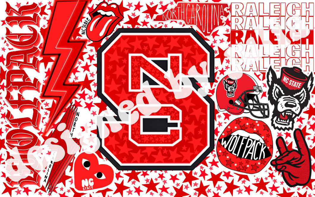 North Carolina State University Background