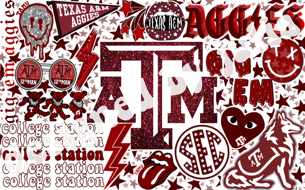 Texas A&M Background