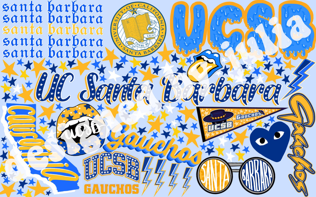 University of California Santa Barbara Background