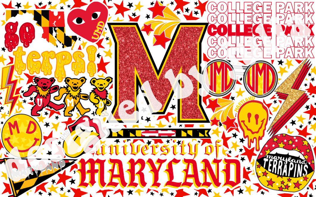 University of Maryland Background