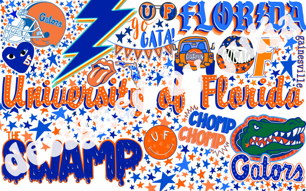 University of Florida Background