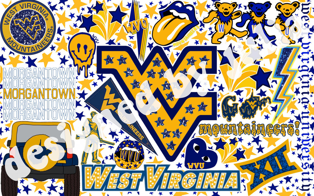 West Virginia University Background